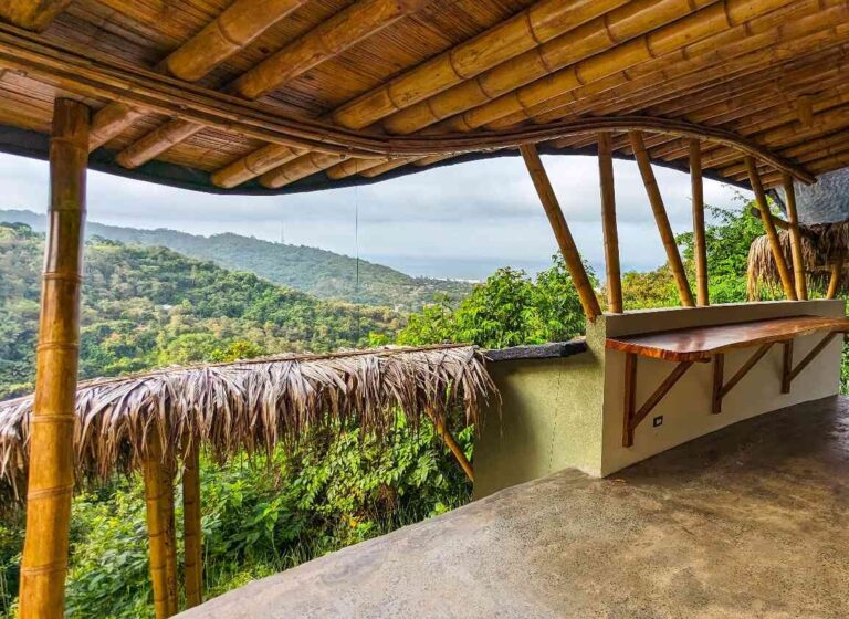 View from The BELL Center over jungle, ocean and forest