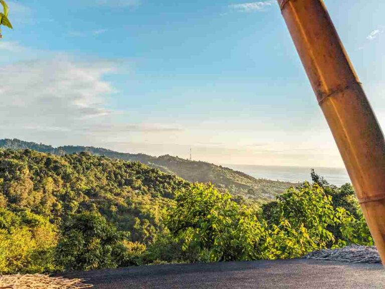 View over jungle, mountains and ocean